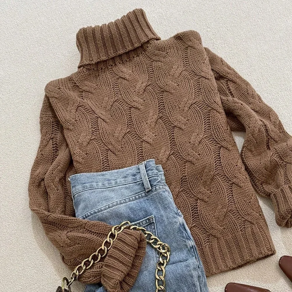 Brown Casual Women's Comfortable Twisted Rope Pattern Textured High neck sweater